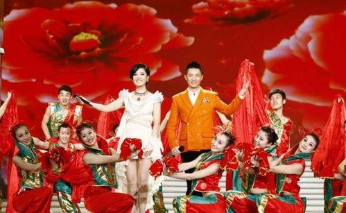安徽卫视春晚网红歌,网红歌曲闪耀舞台，点燃新春狂欢
