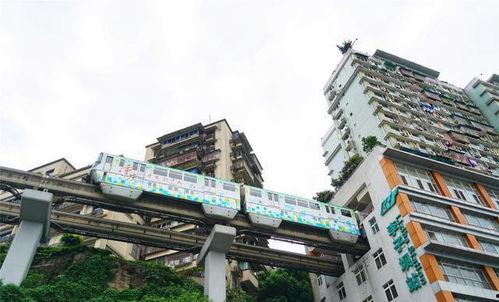 重庆网红景点花都大道,花都大道，繁华与自然的完美融合