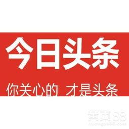 广州永庆最近的新闻头条,最新动态揭示企业新篇章