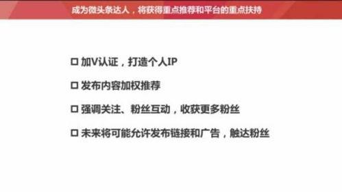 头条粉丝可以做哪些领域,解锁多元领域盈利新途径