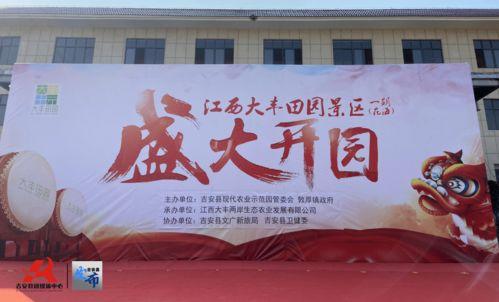 江西大丰今日头条,今日头条聚焦乡村振兴新篇章