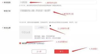 头条号怎么开收益,轻松赚取额外收入