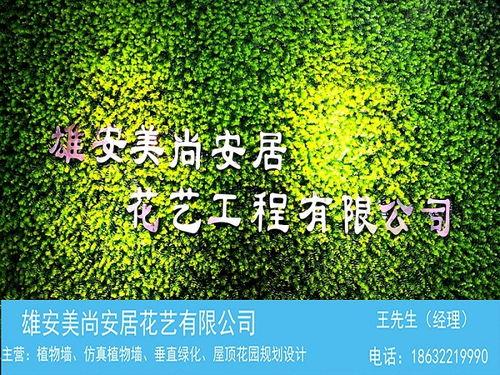 仿真花网红墙,打造家居艺术新风尚