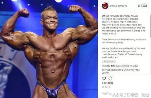 健美明星惠乐现状,健美巅峰后的蜕变之路